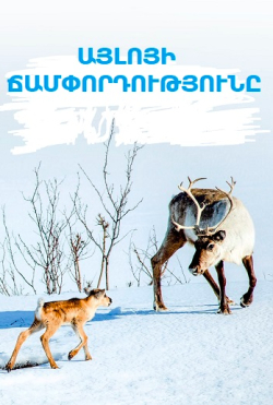 Այլոյի ճամփորդությունը (2018) Հայերեն