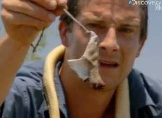 Man vs Wild - Пустыня Чиуауа, Техас, США