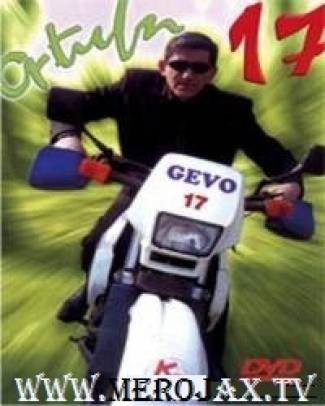 Gevo 17