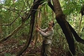 Man vs Wild - Costa Rica / Կոստա Ռիկա (Հայերեն)